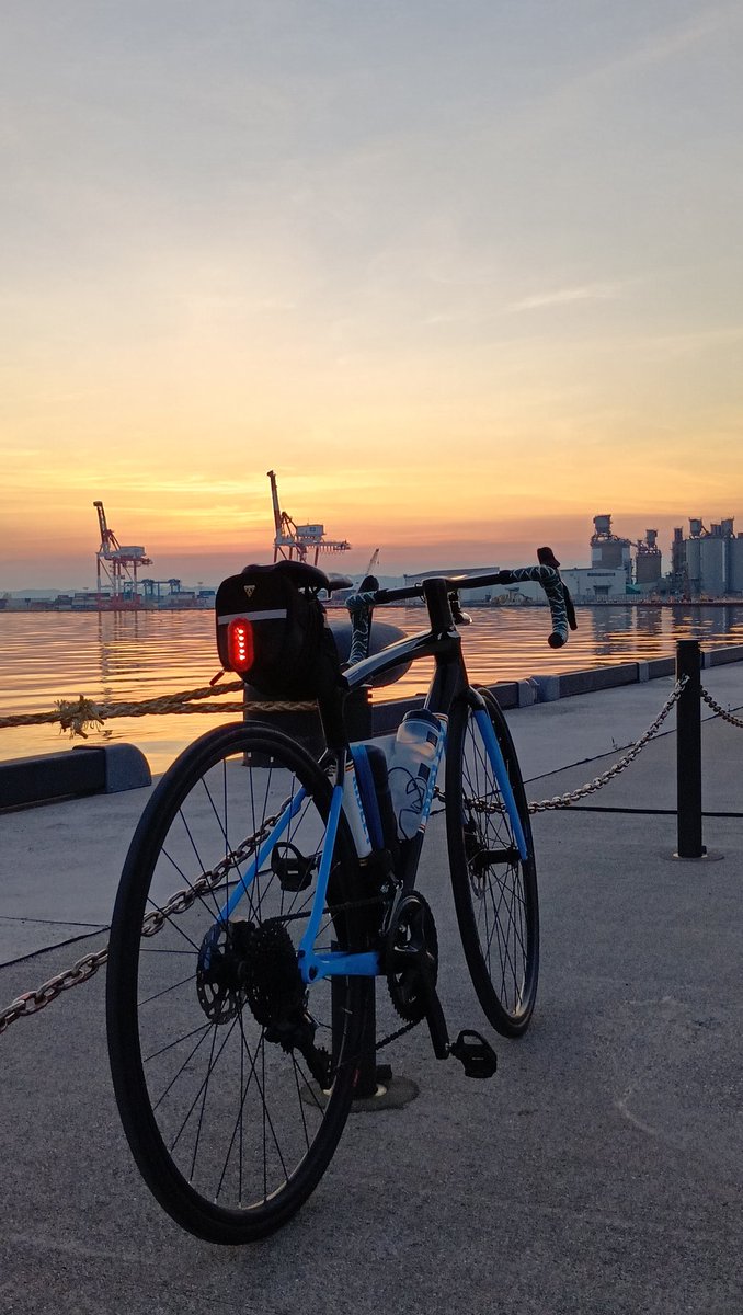 ゴンザレス@朝の挨拶回り自主制限中 tweet media