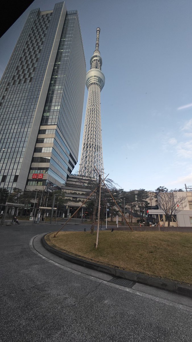 Tokyo Speed ⚖️巨人軍ファン🌸🐀🌽🦊 tweet media