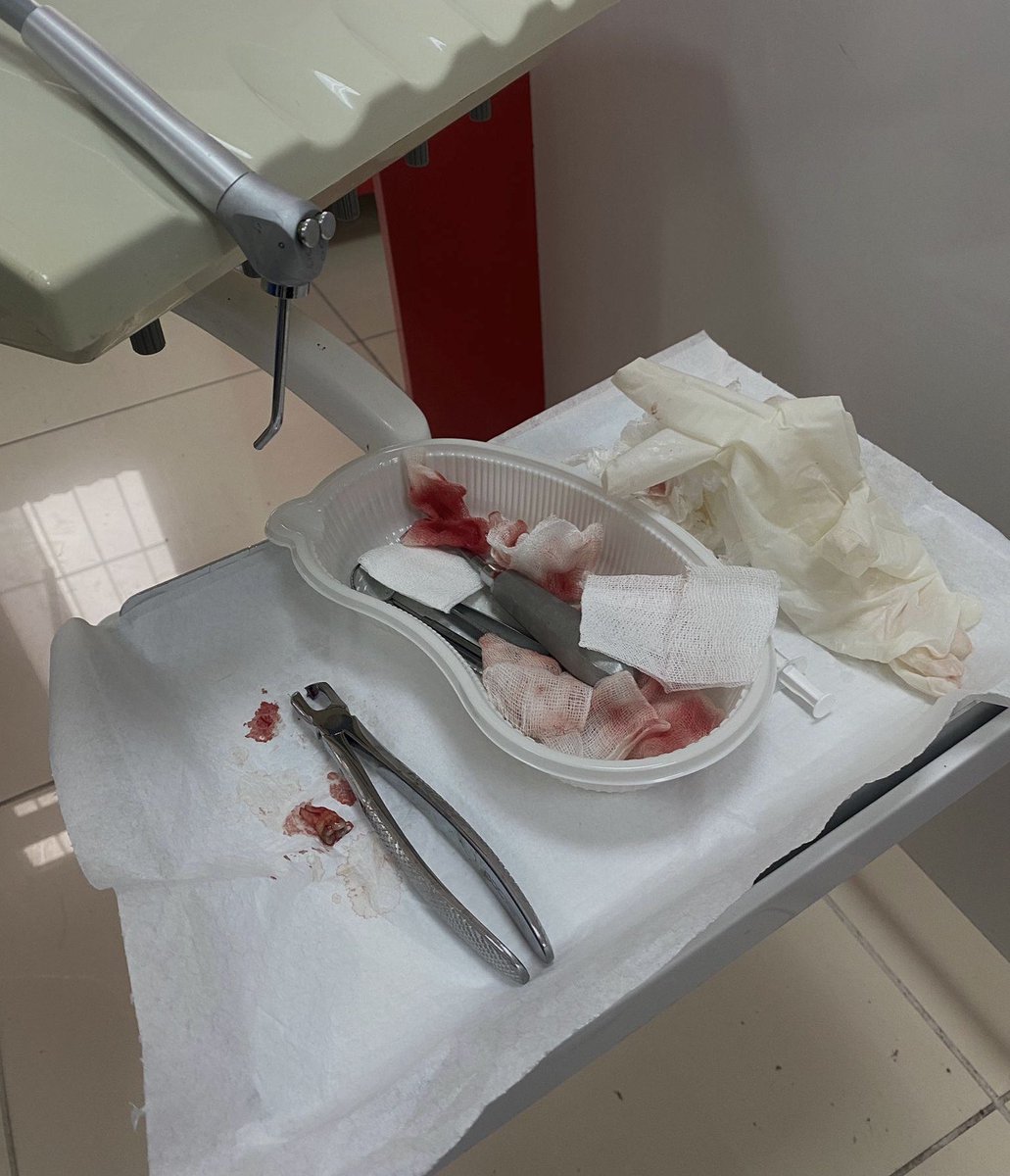 𐙚⋆°🦢｡⋆♡ tweet media