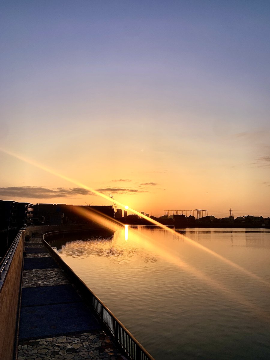 tam-tam🎰 tweet media