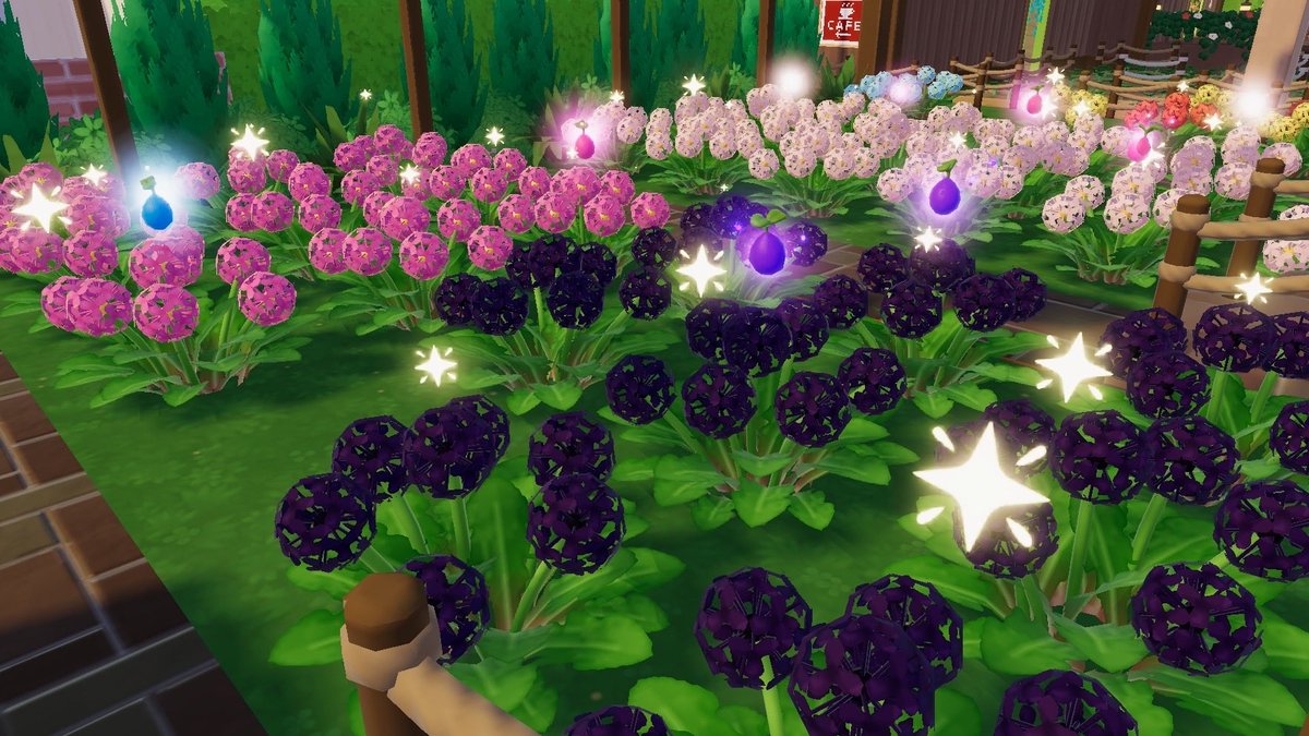 ふう汰 tweet media