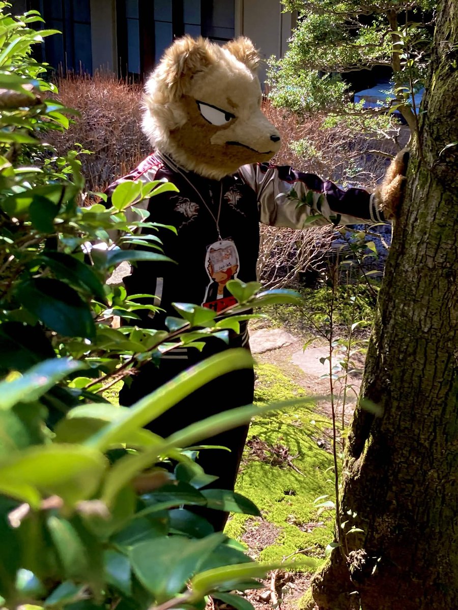 Zack-Goto. tweet media