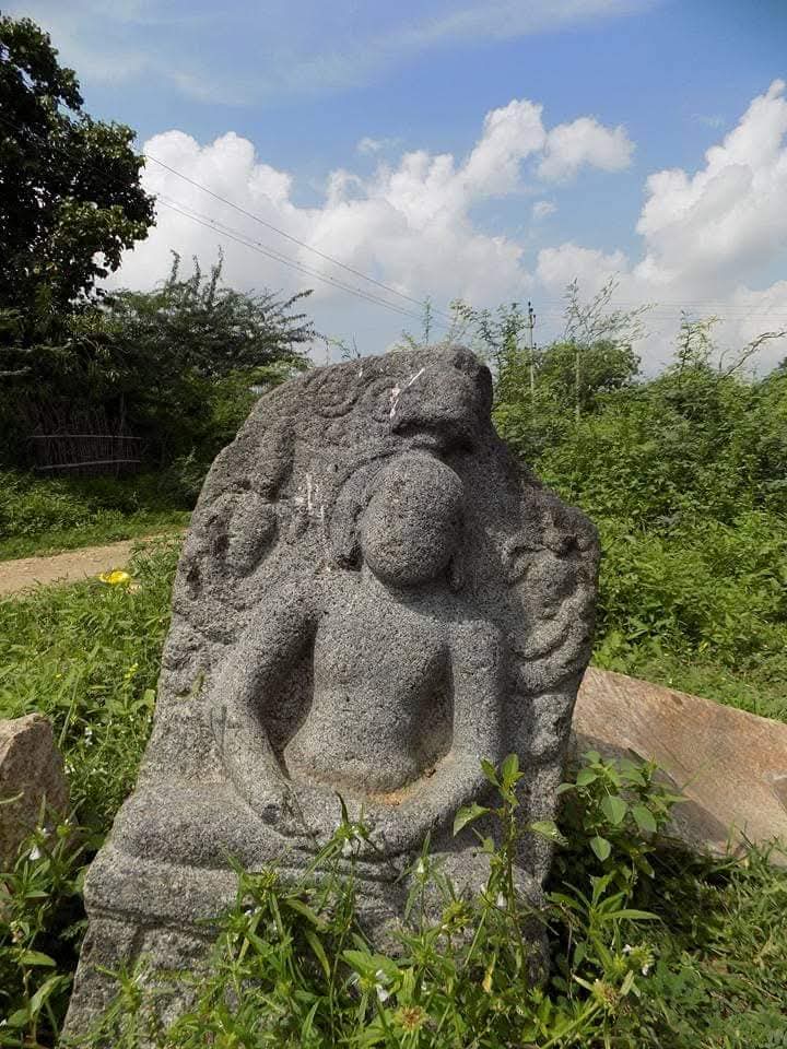 Vandhai RISHI Jain tweet media