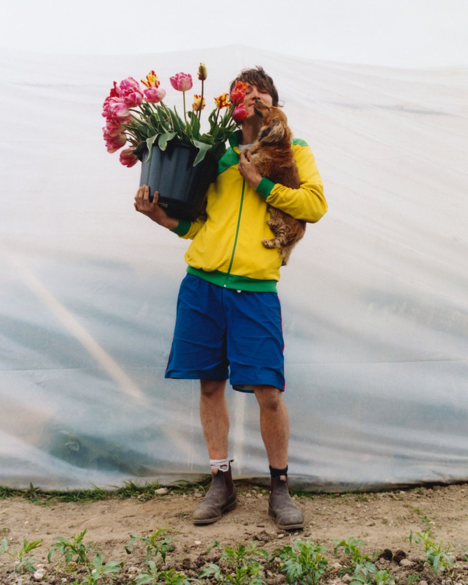 derek guy tweet media