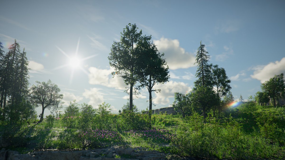 The trees and the grasses and all things growing or living in the land belong each to themselves. 🌲🍀🌿
-  J.R.R. Tolkien 🖊️

#CrimsonDesert #PearlAbyss #VGPUnite #VGPNetwork #ArtisticofSociety #UVPCommunity #VPGamers #VPSAT #VPWorld