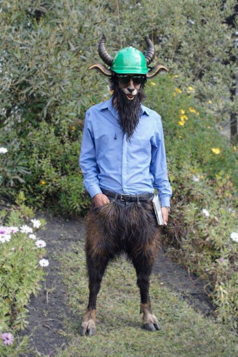 ........ tweet media