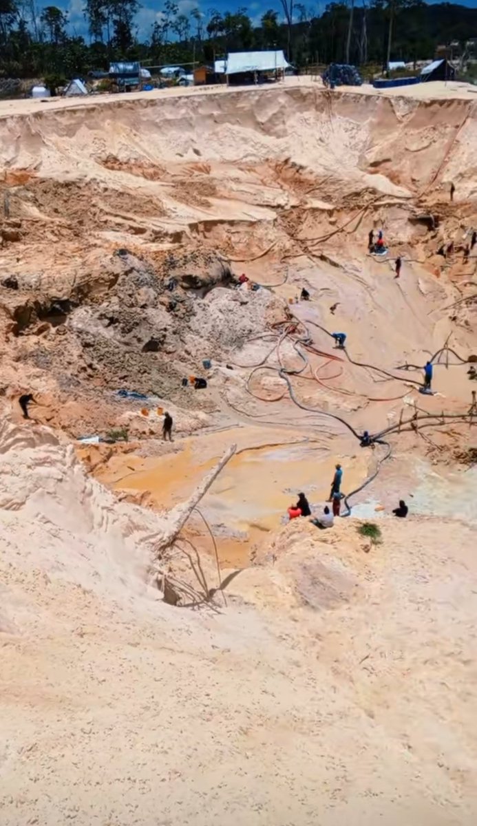 Fritz Sanchez tweet media