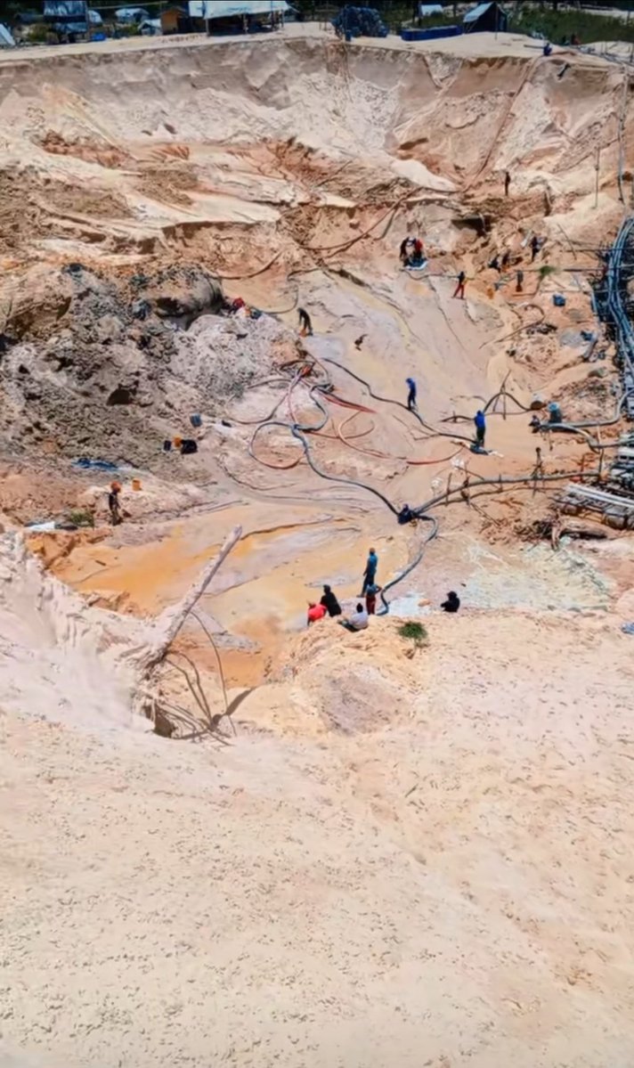 Fritz Sanchez tweet media