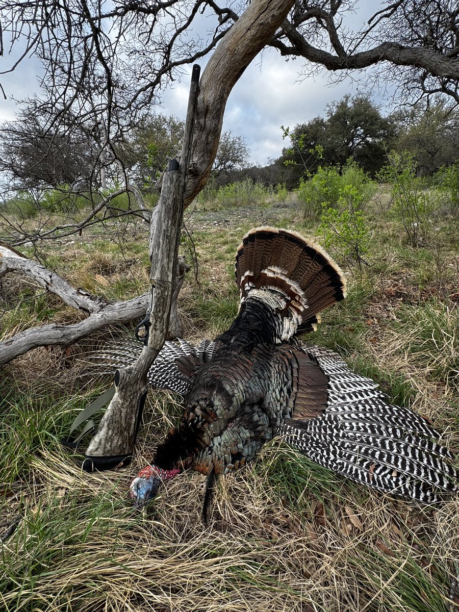 David Bess tweet media