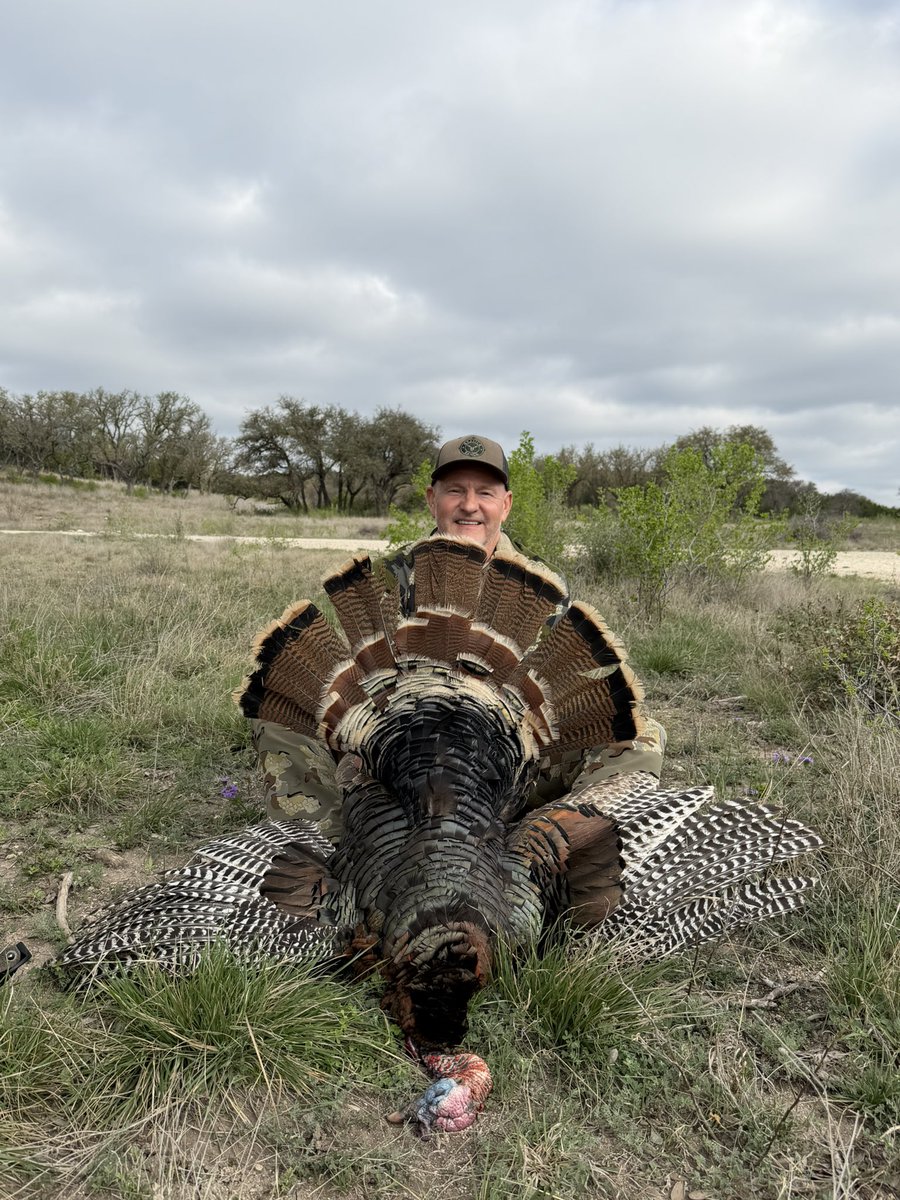 David Bess tweet media