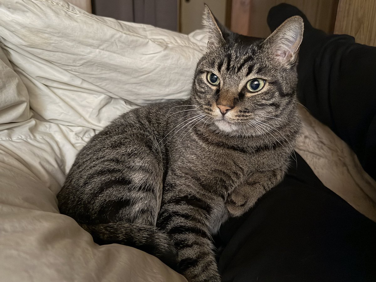 ぷりちーなすび🍆 tweet media