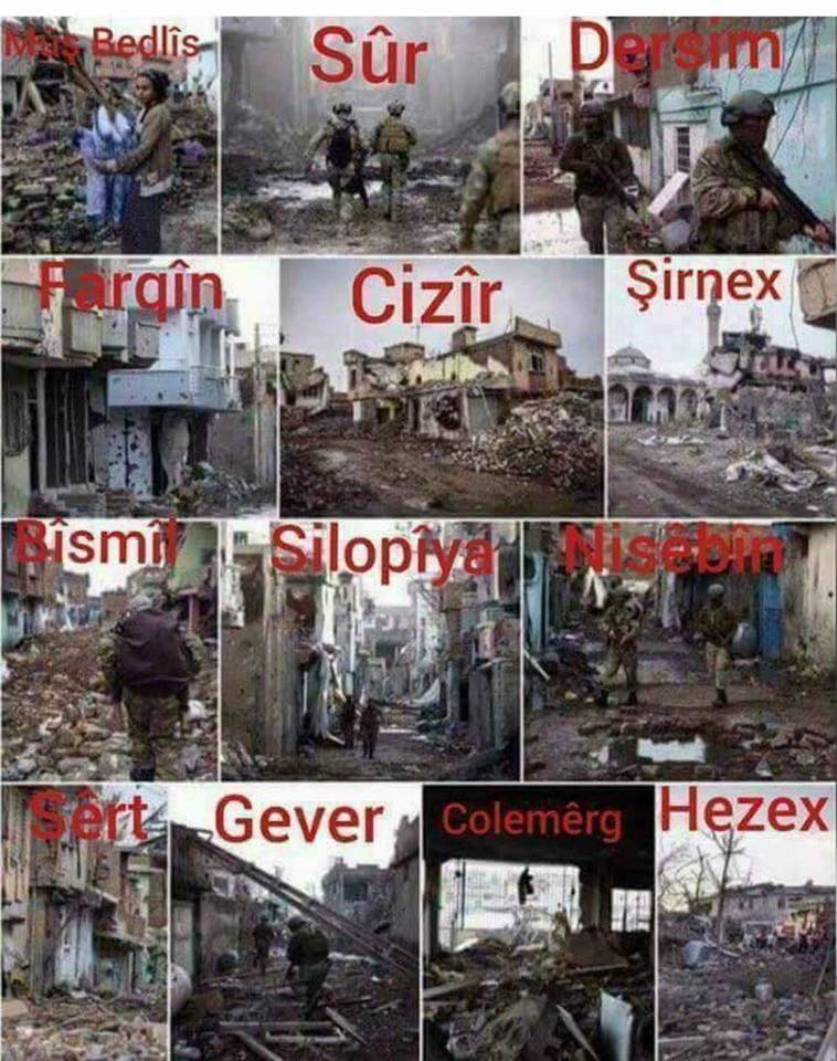 Elî MED ✹ tweet media