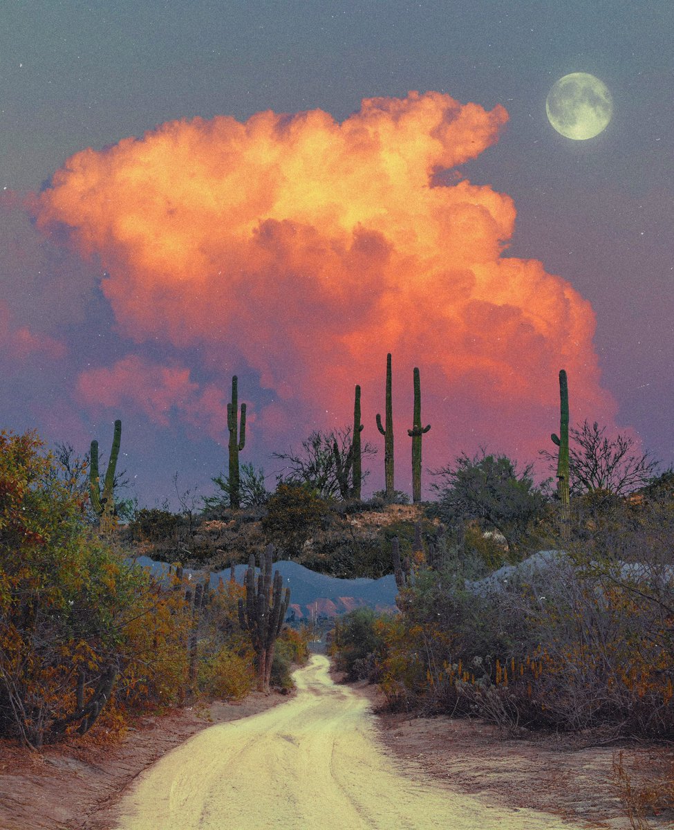 post wook ✨🌻 tweet media