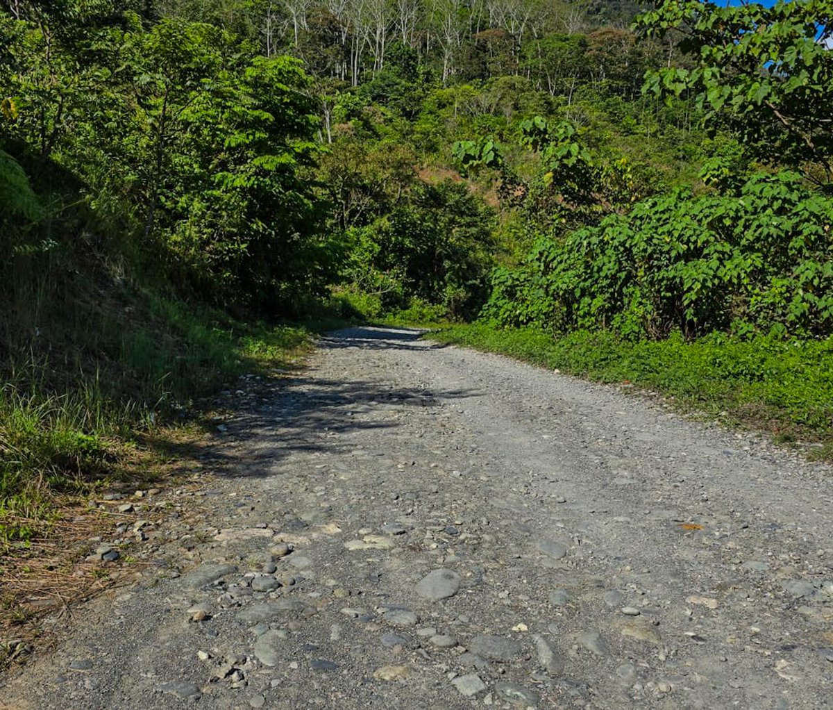 caminos_civ tweet media