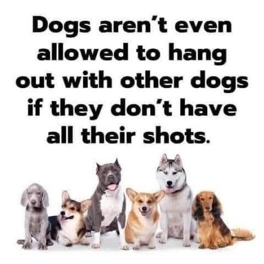 Signe Dillon Alberts tweet media