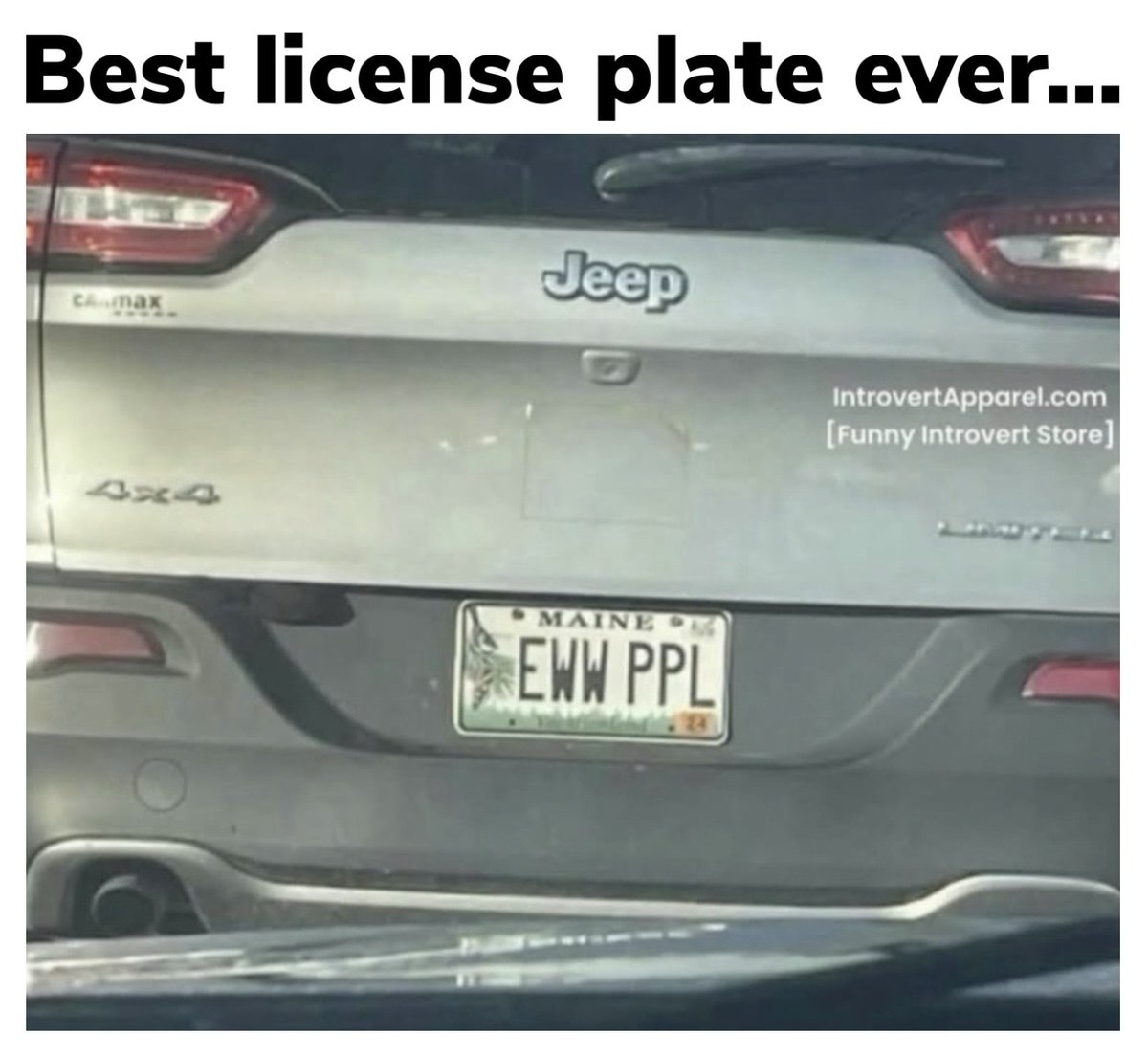 All About Introverts tweet media