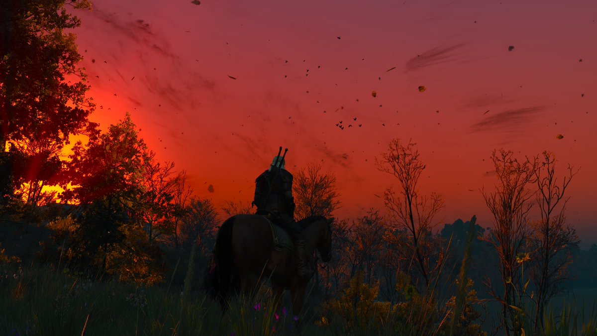 ✰ ᴀᴍᴀɴᴅᴀ ᴛʀɪ ɴᴀsᴋ tweet media