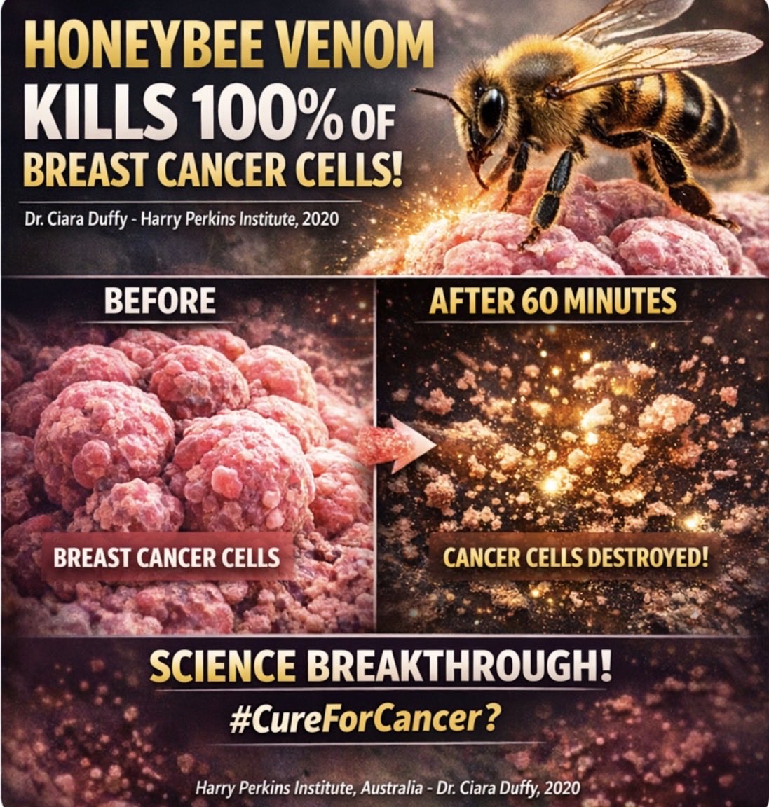 The Comeback Files tweet media