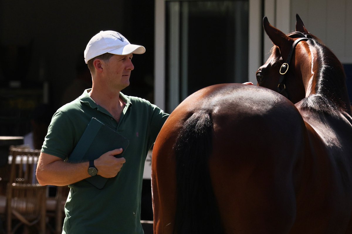 Federation of Bloodstock Agents Australia tweet media