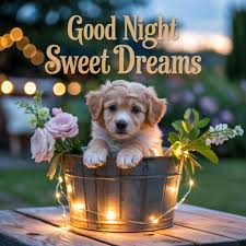 stoneyman1 tweet media