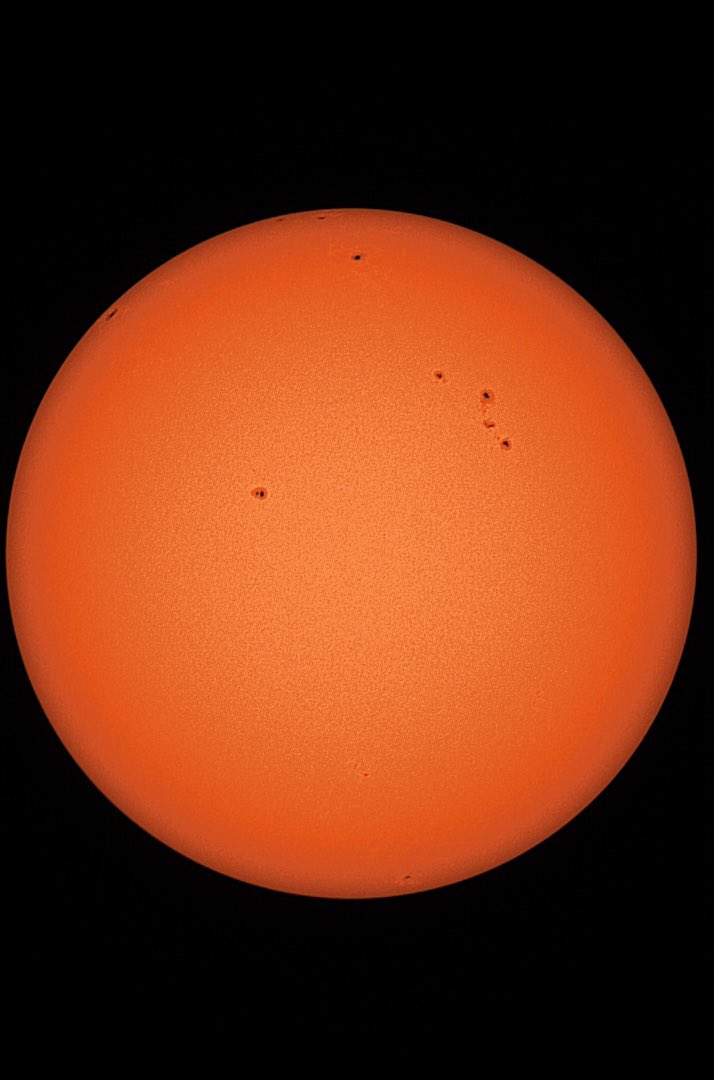 Tom Williams tweet media