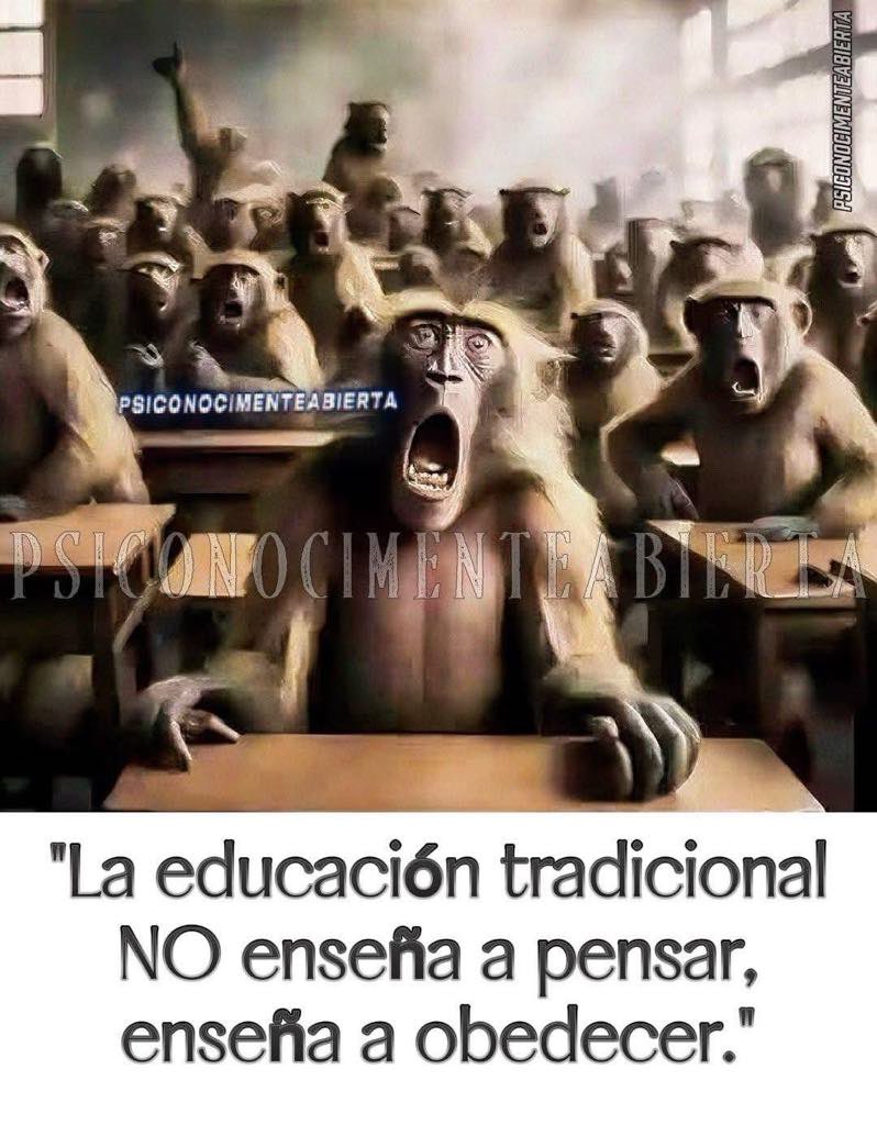 Zafira Castro tweet media