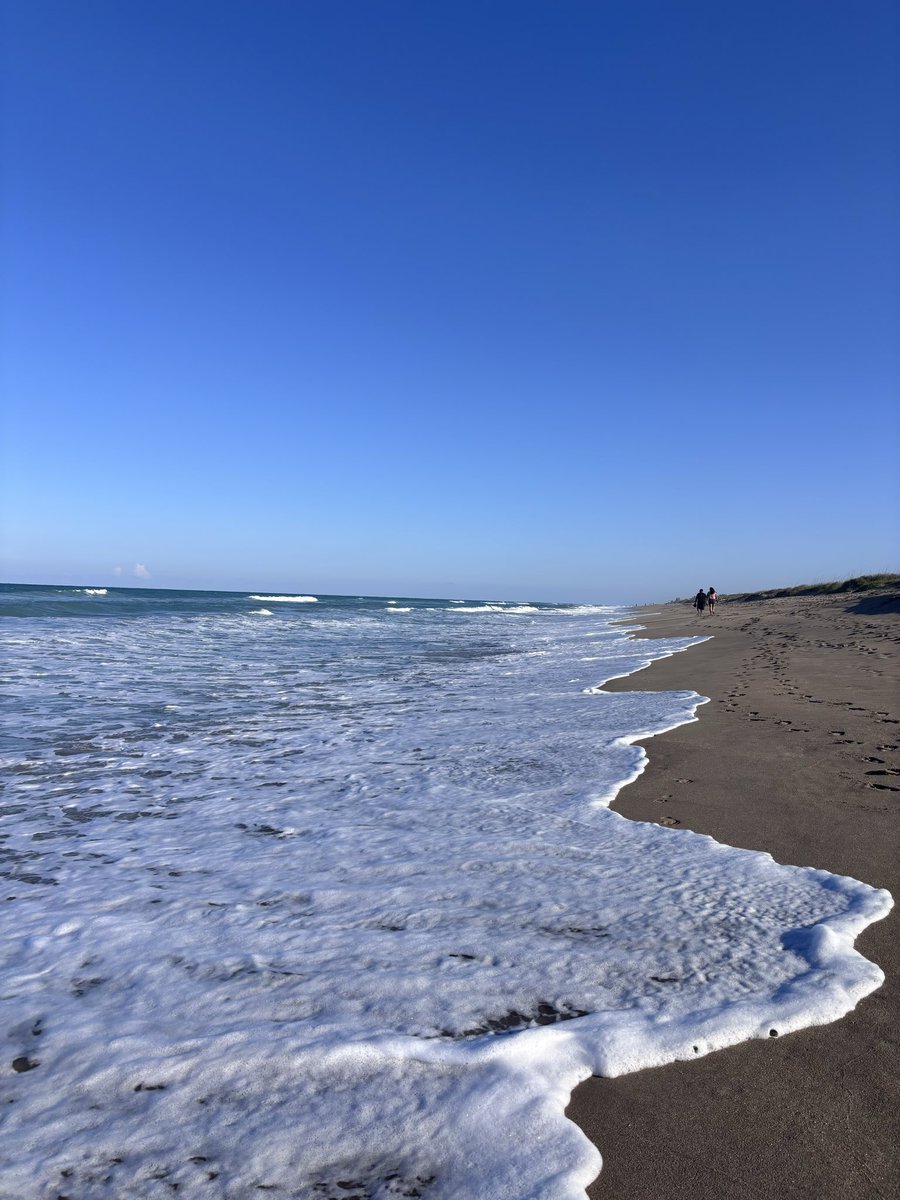 sonya85646474's tweet photo. just another spring day walking with headphones on smarterx podcast https://t.co/aePq3rauxG