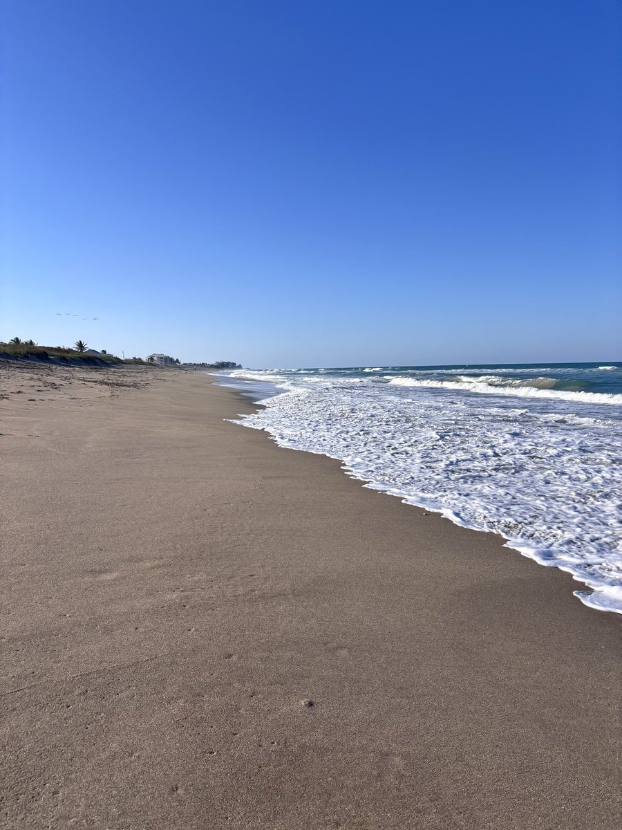 sonya85646474's tweet photo. just another spring day walking with headphones on smarterx podcast https://t.co/aePq3rauxG