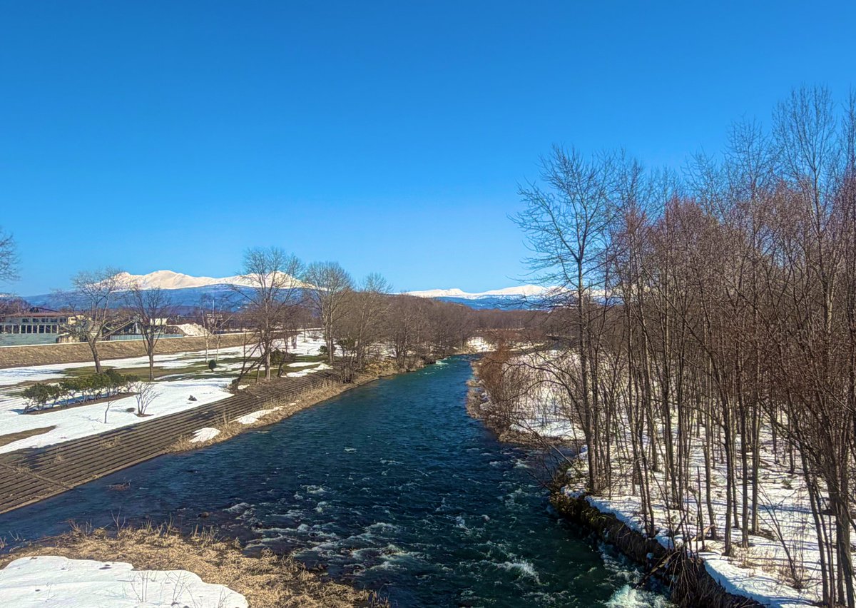 渡辺道治【Michiharu.Watanabe】 一般社団法人「教え方の学校®︎」代表理事 tweet media