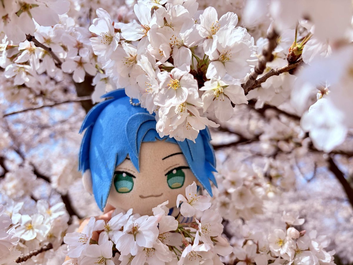 kismet nightingale 🎇⛓️🔅⭐ tweet media