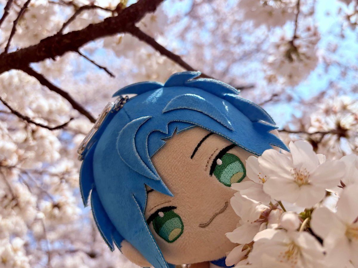 kismet nightingale 🎇⛓️🔅⭐ tweet media