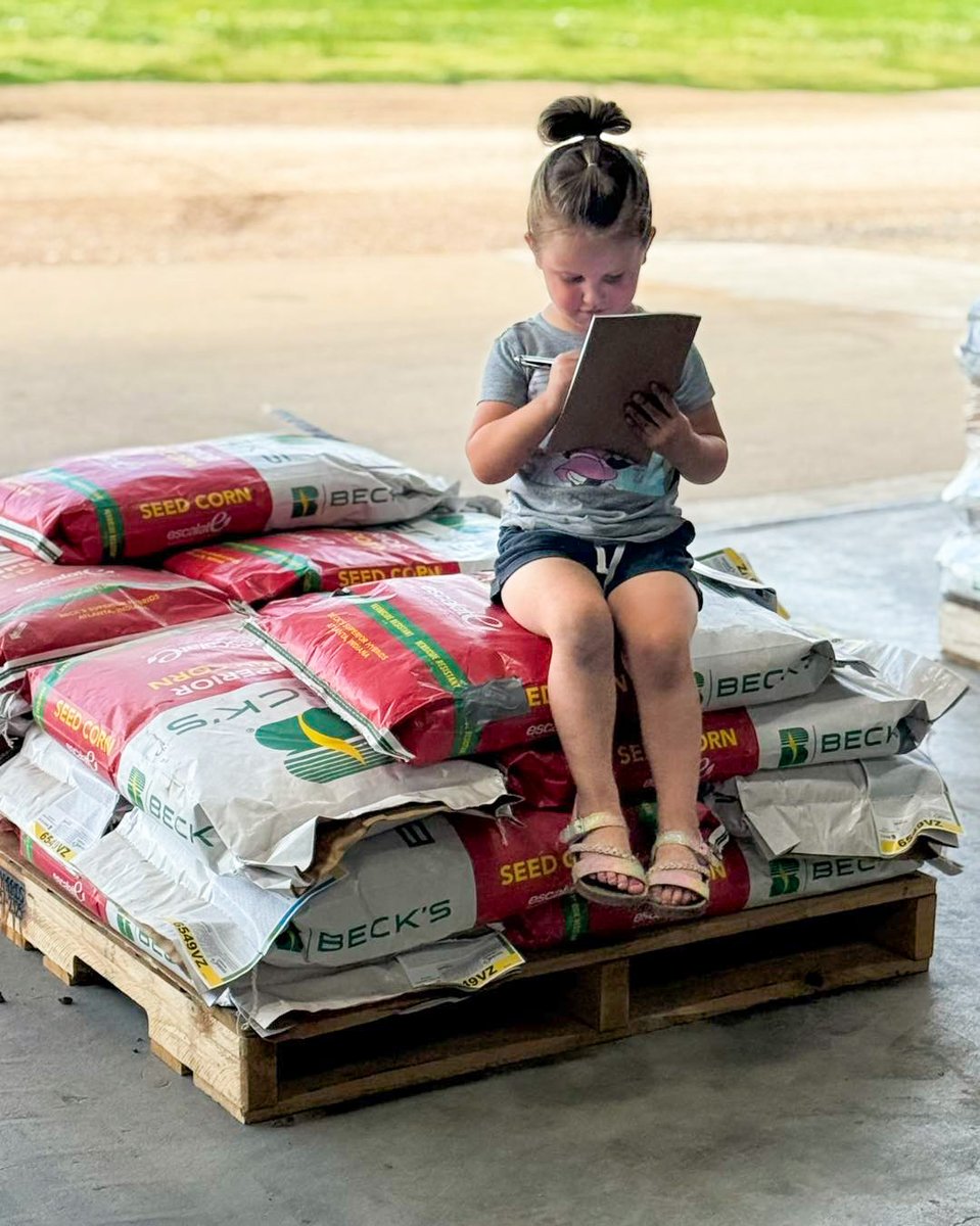 Beck's Hybrids tweet media