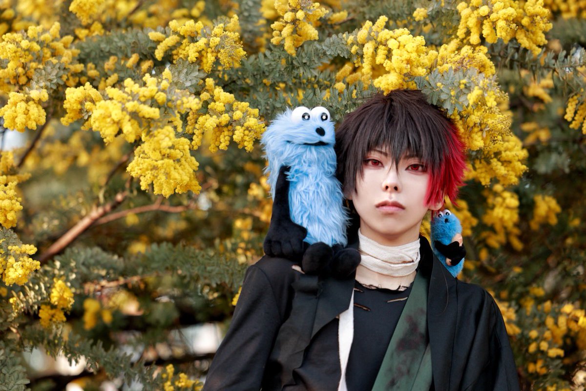 元気な虫✌︎︎︎︎︎🫵 tweet media