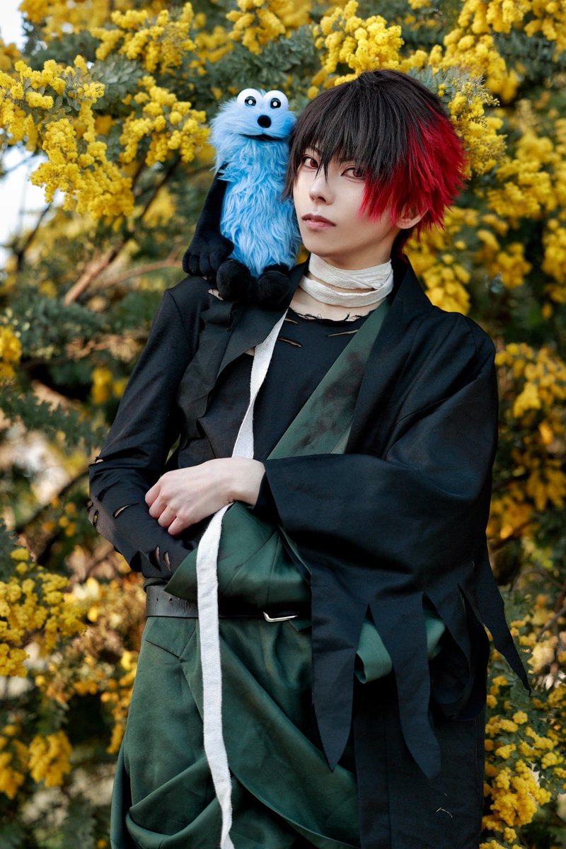 元気な虫✌︎︎︎︎︎🫵 tweet media