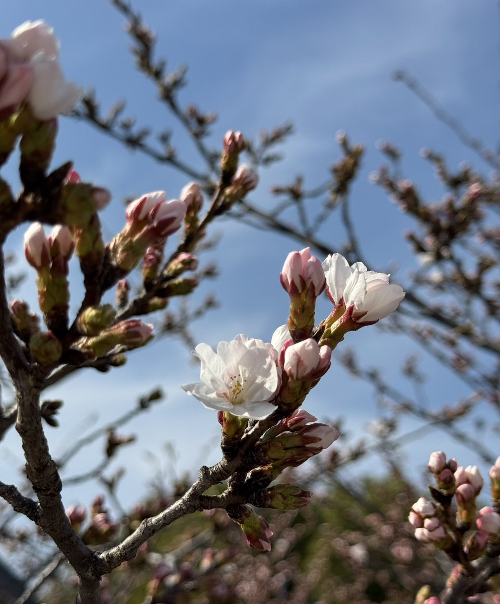 mai✰︎·̩͙ tweet media