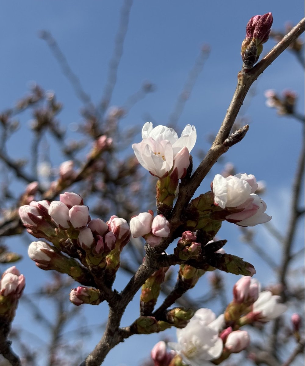 mai✰︎·̩͙ tweet media