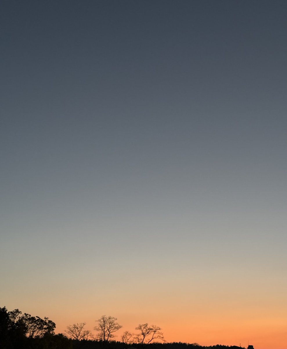 mai✰︎·̩͙ tweet media