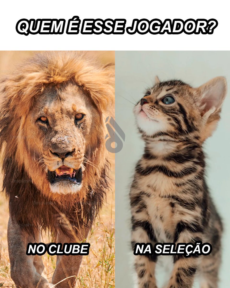 desimpedidos tweet media