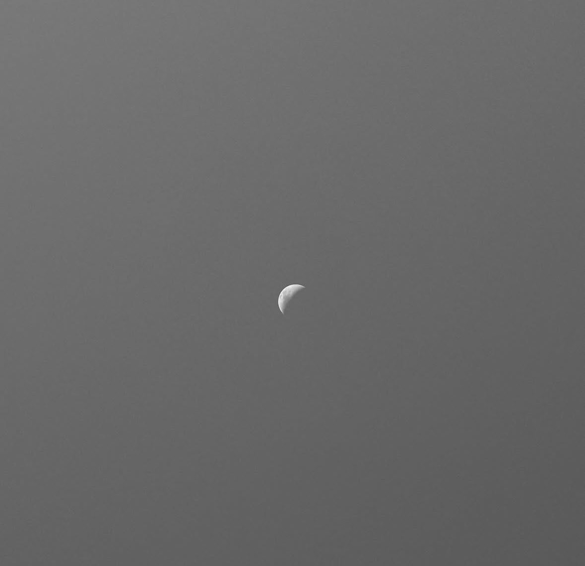 samaël. tweet media