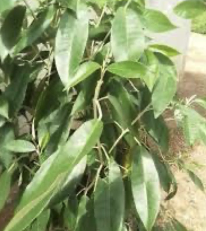 ÁDÉWÁLÈ tweet media