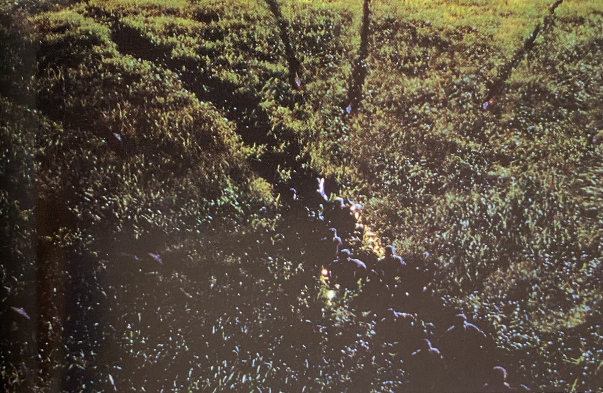 風見竜馬 tweet media