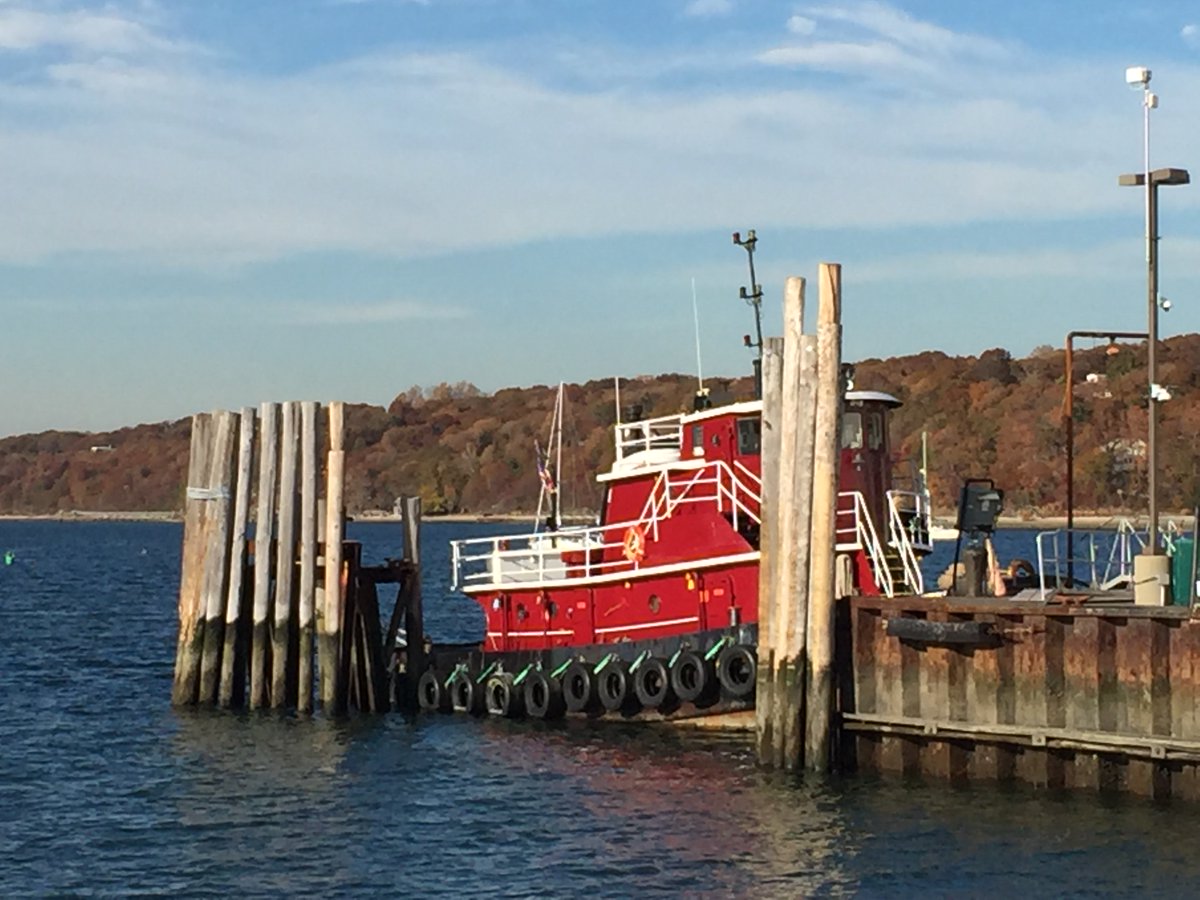 RoBee🐝🙋🏻♀️🌼🥂☀️🏖️👩🏻🍳 tweet media