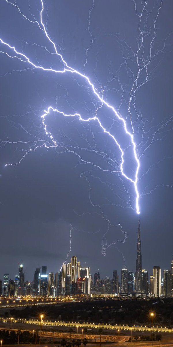 راشِـد 🇦🇪 tweet media