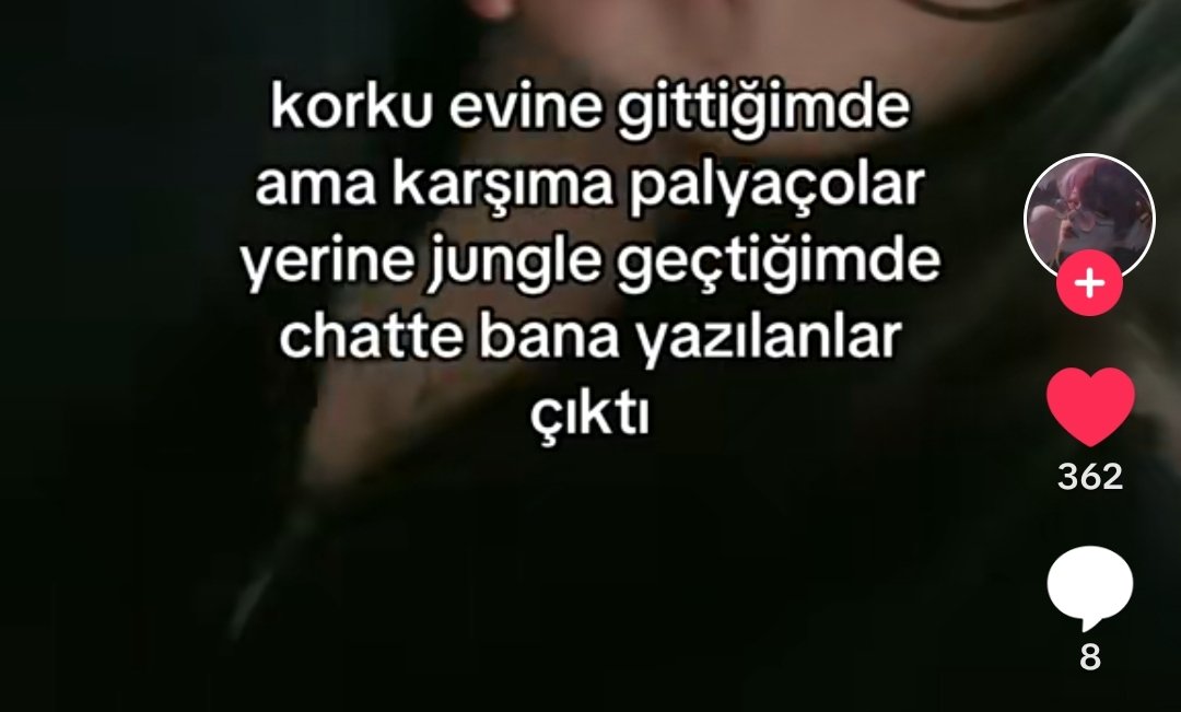 daha korkunc bi sey gosteremezlerdi