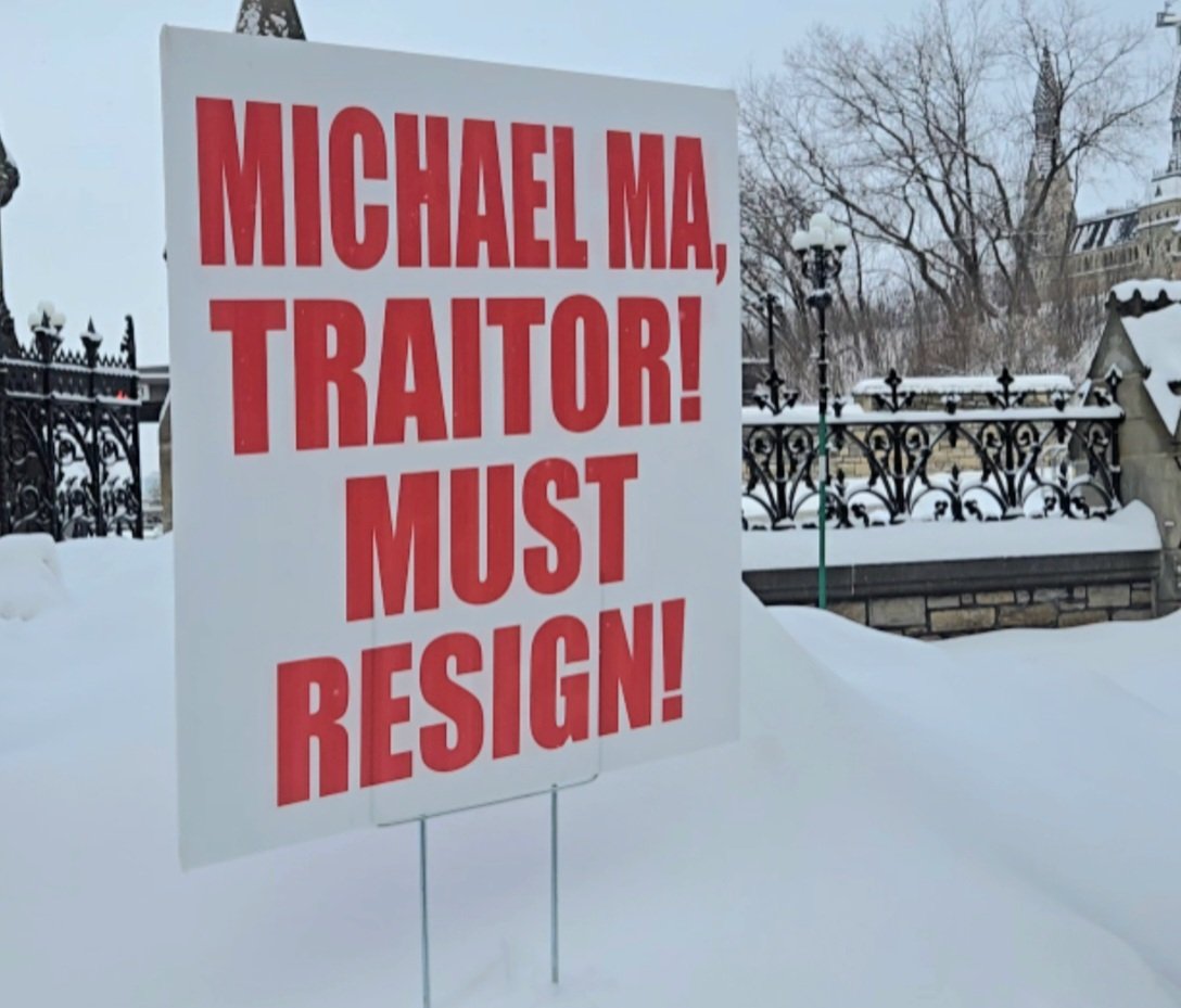 Lynne Brooks 🇨🇦 tweet media