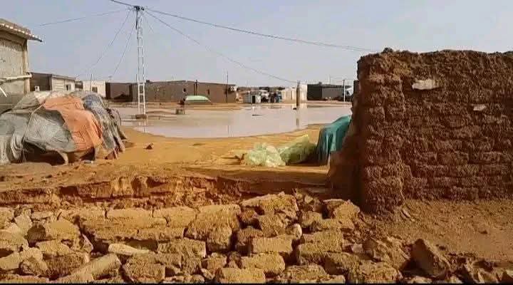 سَاجِرْ tweet media