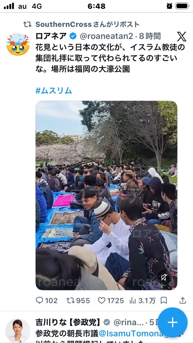 モモンガのリタ tweet media