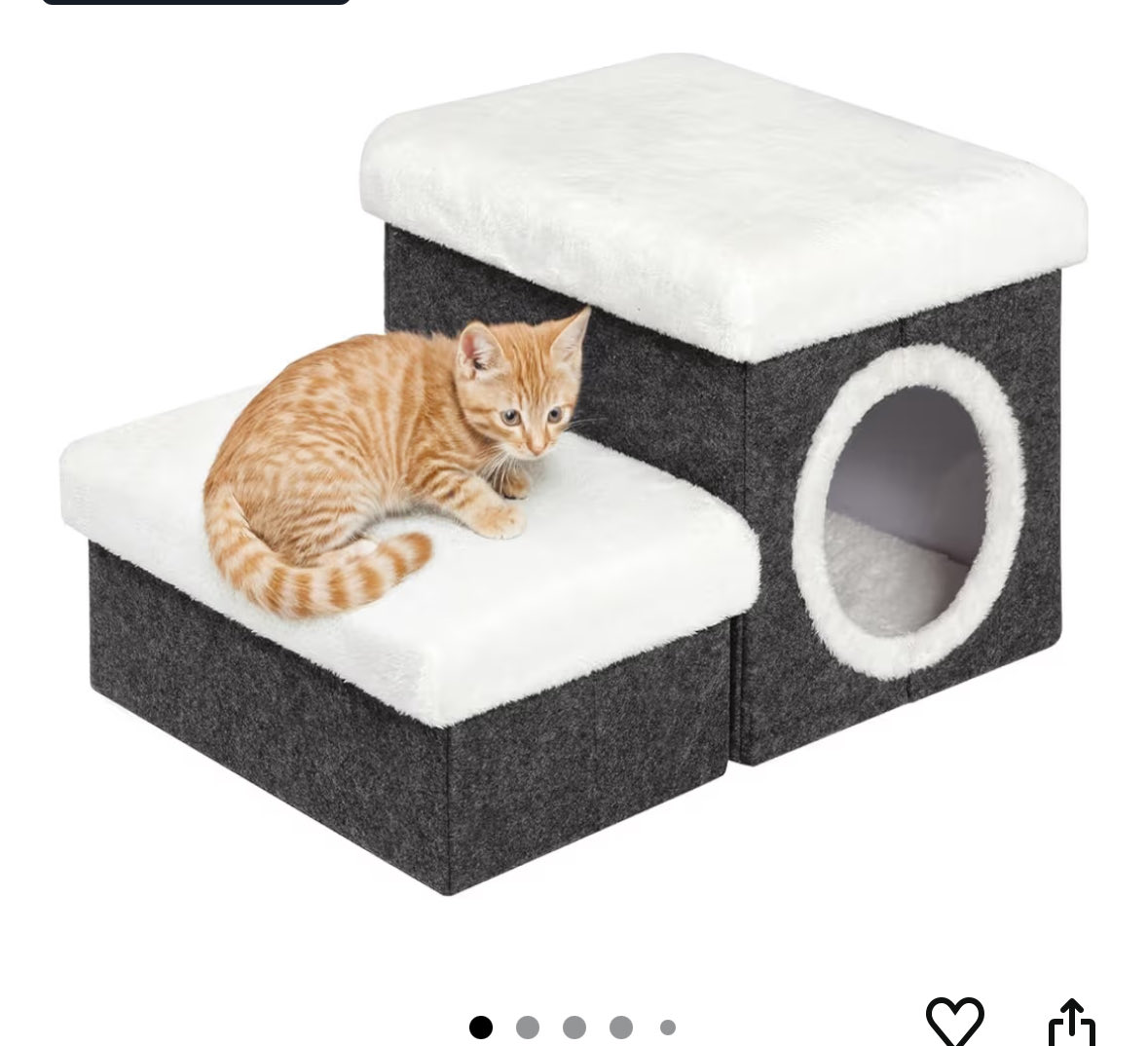 leanne🐝🏃🏻♀️🌟 tweet media