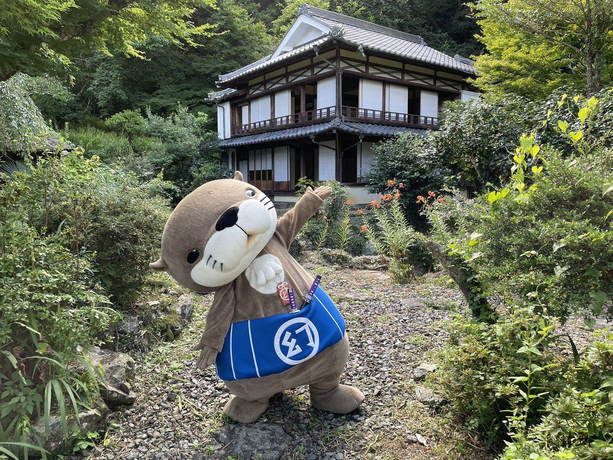 ニホンカワウソ幻(げん)ちゃん【公式】 tweet media