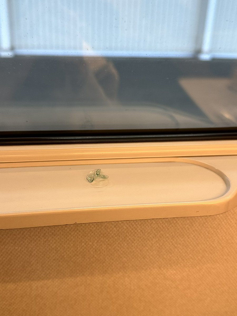 えびまるサブ(相互垢) tweet media